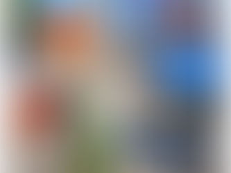 Spokane Gutter Experts: VGRC’s Top Cleaning Process Year-Round