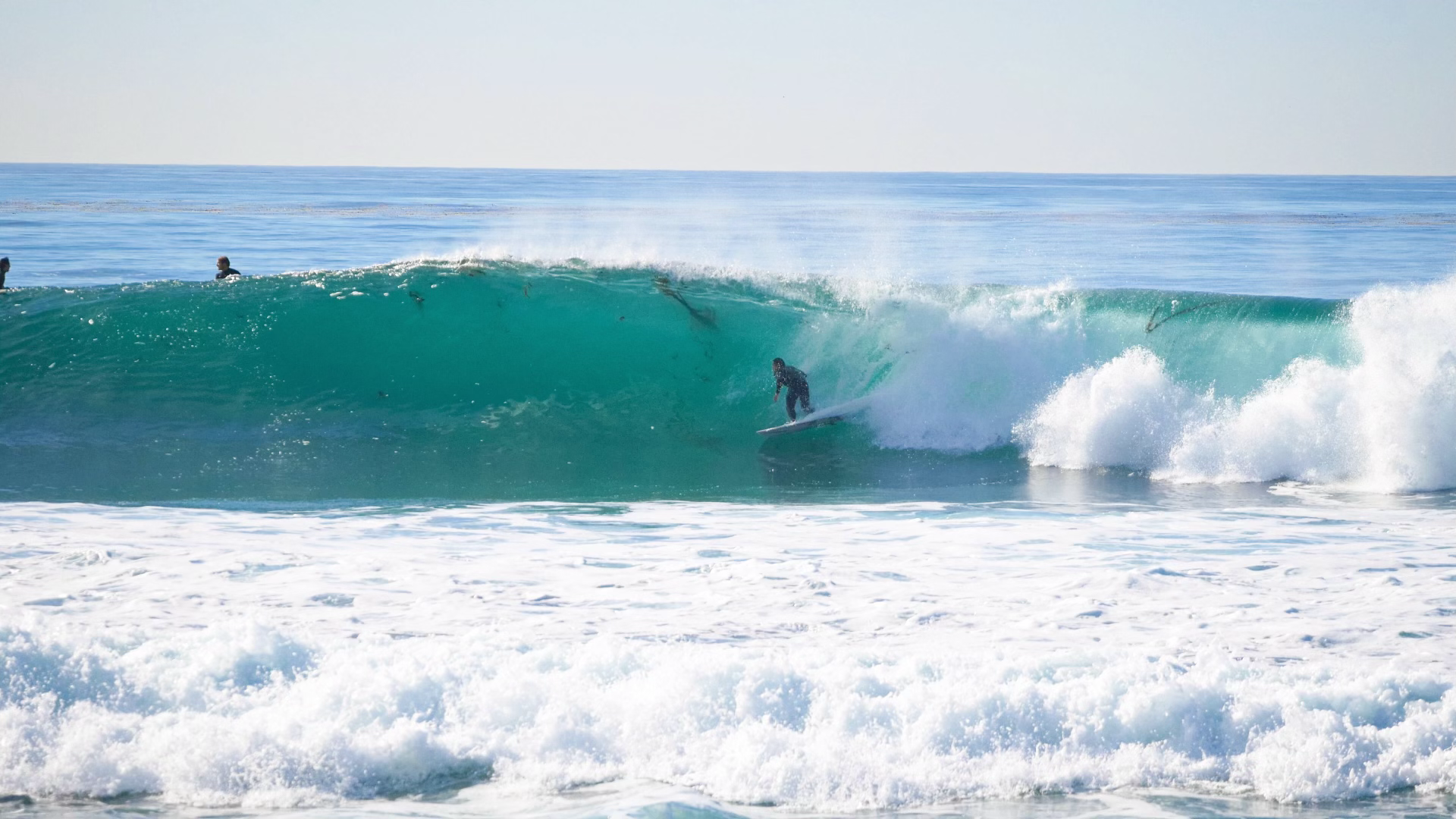 One video review session (1.5hr) 