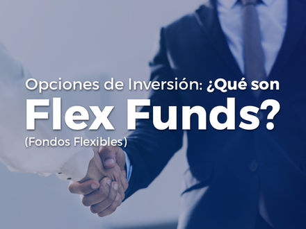 Investment Options: What are Flex Funds?
