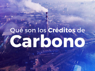 Qué son los Créditos de Carbono