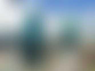 Crecimiento Discreto, Resiliencia Firme: Panamá en el Primer Semestre de 2024