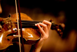violin-new