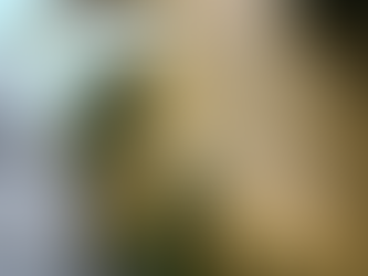 Polícia Civil prende mulher que planejou a morte de vizinha na Zona Oeste