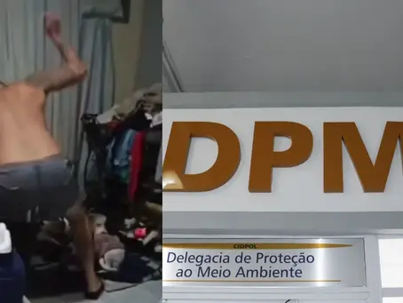 Maus tratos: homem acusado de agredir sete cachorros é preso no Rio