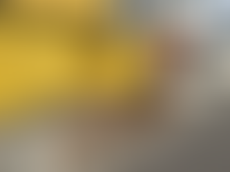 Mais de 20 aves são resgatadas de cativeiro em São Gonçalo