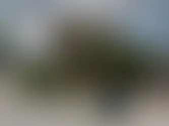Polícia Civil realiza ação para coibir comércio ilícito de celulares em Itaboraí