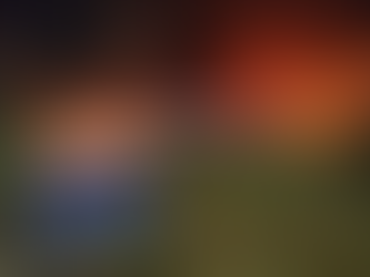 Situação de emergência por incêndio florestal cresceu 354% em agosto