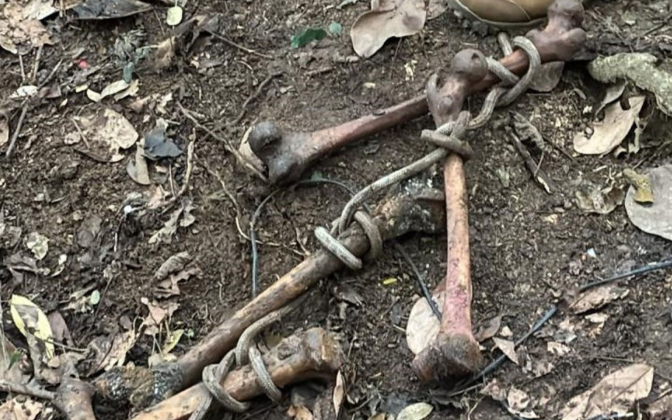 Polícia encontra cemitério clandestino no Morro do Jordão, na Zona Sudoeste