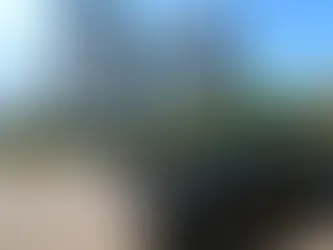 PF quer investigar entrada de ex-assessor de Bolsonaro nos EUA