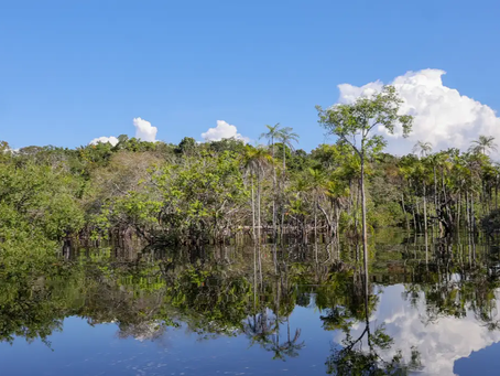 Rio Negro pode passar por pior seca da história ainda esta semana