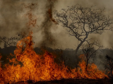Desastres climáticos aumentaram 250% nos últimos quatro anos no país