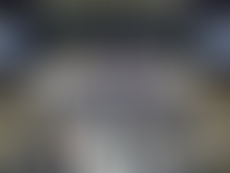 Câmara terá as próximas semanas semipresenciais em razão da COP30