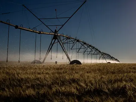 STF retoma julgamento sobre benefícios fiscais para agrotóxicos