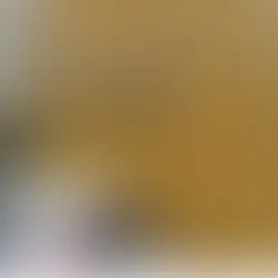 Polícia Civil prende homem que ordenou a execução de uma mulher na Zona Oeste
