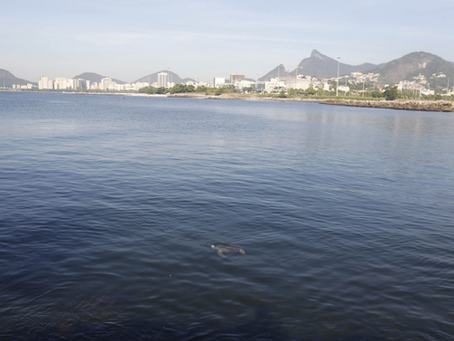 Secretaria identifica navio que derramou óleo na Baía de Guanabara