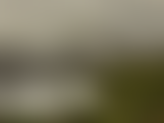 Rondônia declara situação de emergência por incêndios florestais