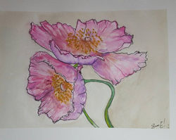 15871512_1167414343334288_7897481535103061452_n