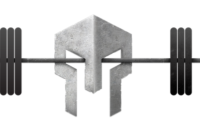 warrior website.png