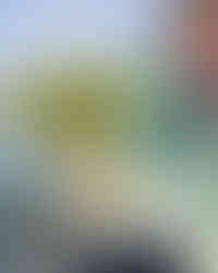 Foto do Lazari com um belo tucunaré