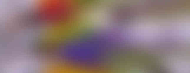 Moscas atadas durante o 2o Encontro Nacional de Atadores