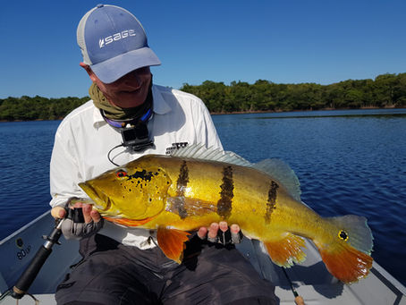 Pesca de Tucunaré Amazônia: Minha Jornada no Rio Itapará