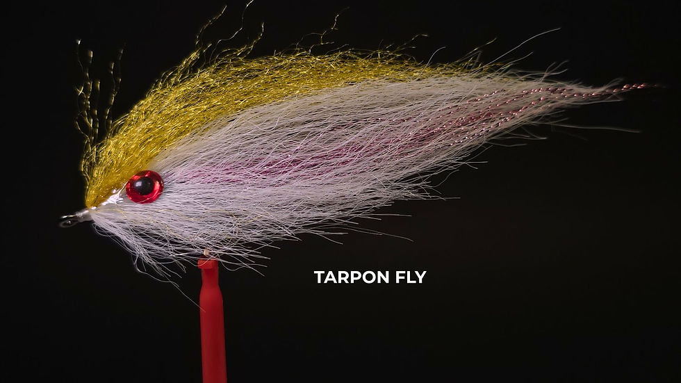 Foto da Mosca Tarpon Fly usada no Lago do Manso