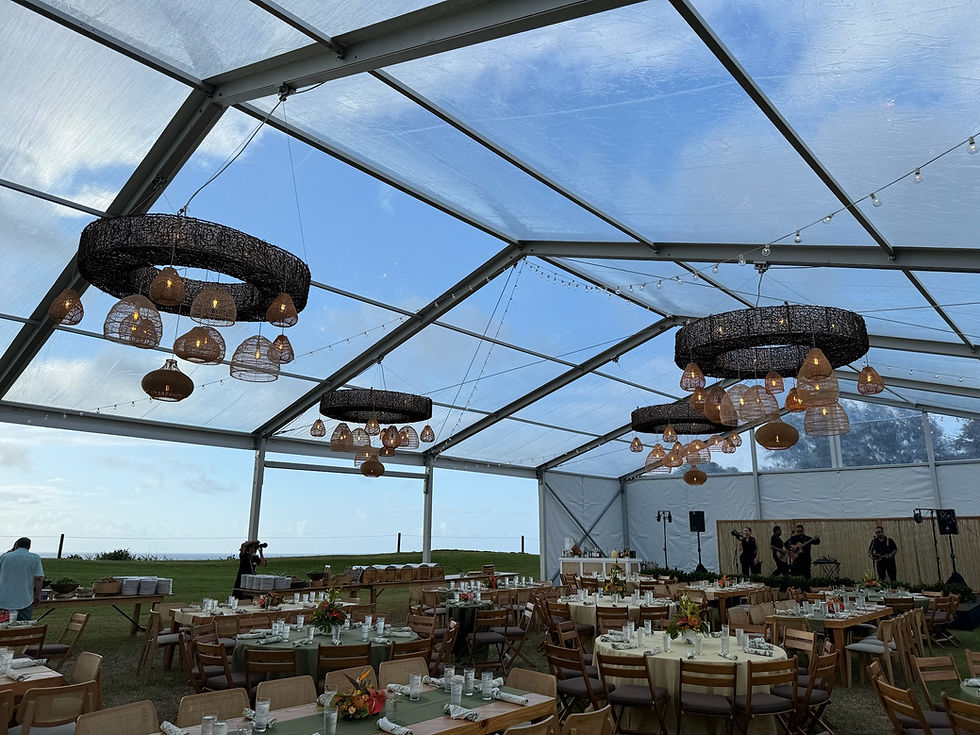 Thumbnail: Wicker Round Chandelier