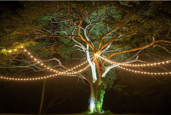 Thumbnail: Cafe/Bistro Lighting