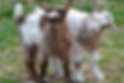 DSC_0328.jpeg