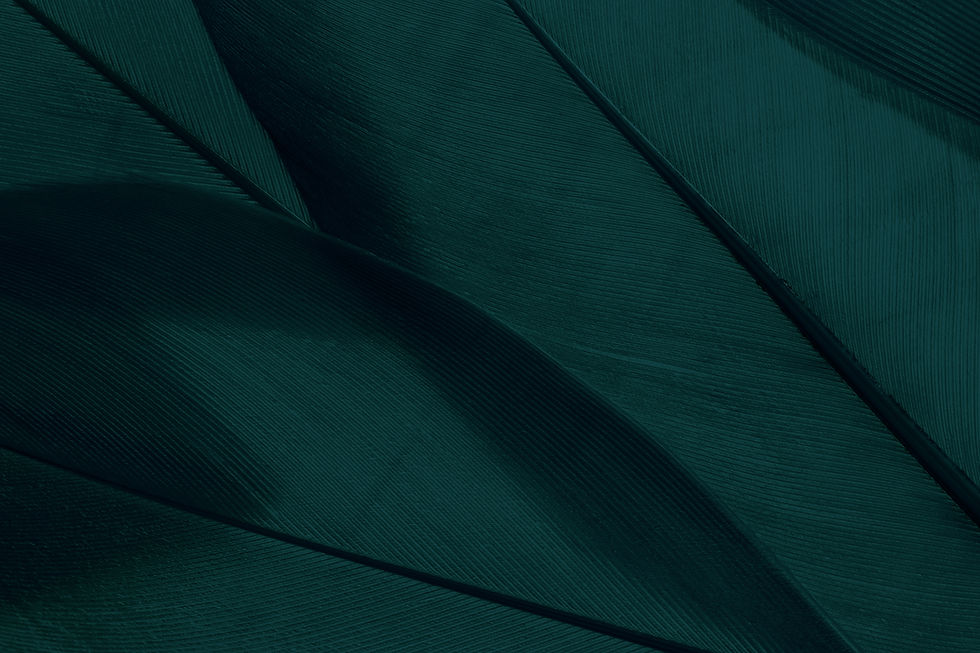 shutterstock_2709832579.jpg