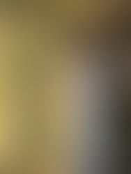 Bridgerton: temporada 4 já está disponível na Netflix.