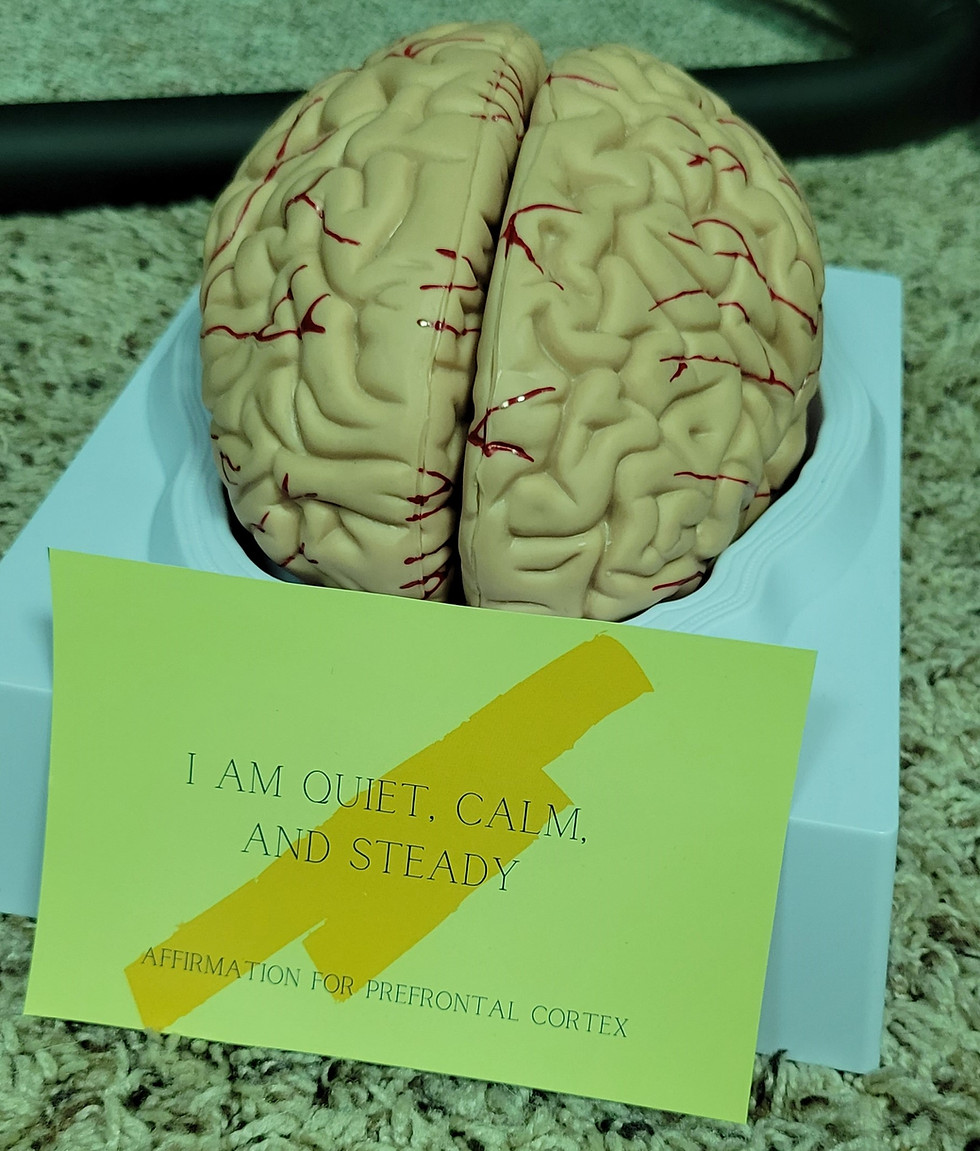 Thumbnail: Brain Health Deck