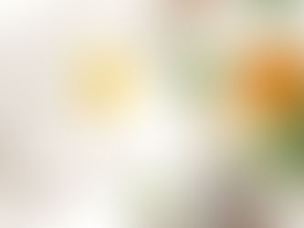 Open notebook with a fried egg on a page, next to a pencil. Nearby, a glass of orange juice, green leaves, and gray sneakers. Bright setting.