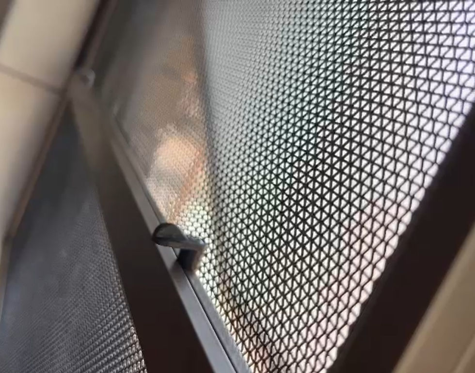 Insect screen 1.jpg
