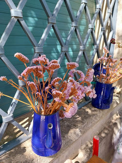 Giardino0260123-WA0039