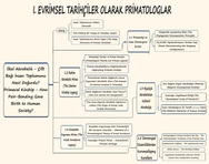 Nerede Kalmıştık