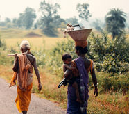 Ataerkil Düzenin Kökenleri: Evrimsel Bir Perspektif