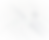 grey background_edited_edited_edited.png
