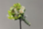 Bouquet Solteiras- 62-1.JPG