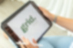 Client reviewing Grid Socials branding on a tablet during a Dorset content planning session