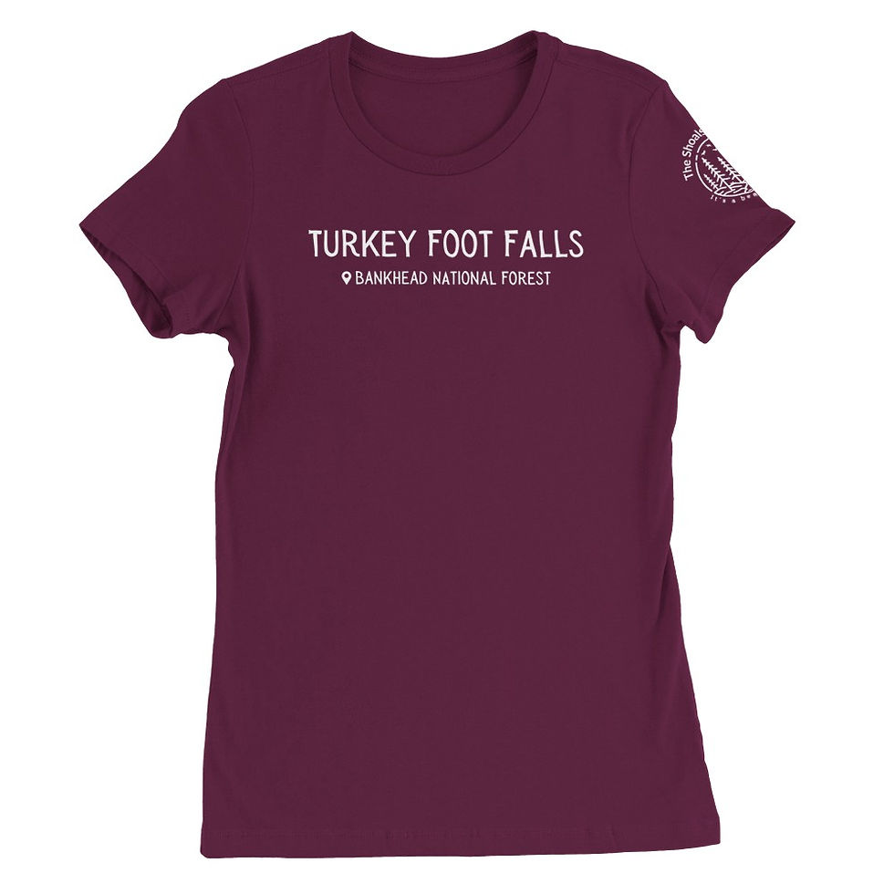 Thumbnail: "Turkey Foot Falls - Bankhead National Forest" Premium Women's Crewneck T-Shirt