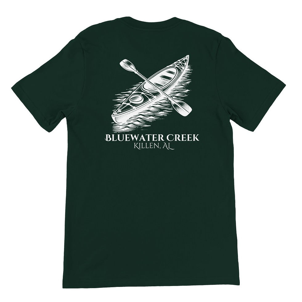 Thumbnail: "Bluewater Creek" Premium T-Shirt