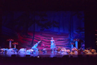 IYDT Alice in Wonderland 2023