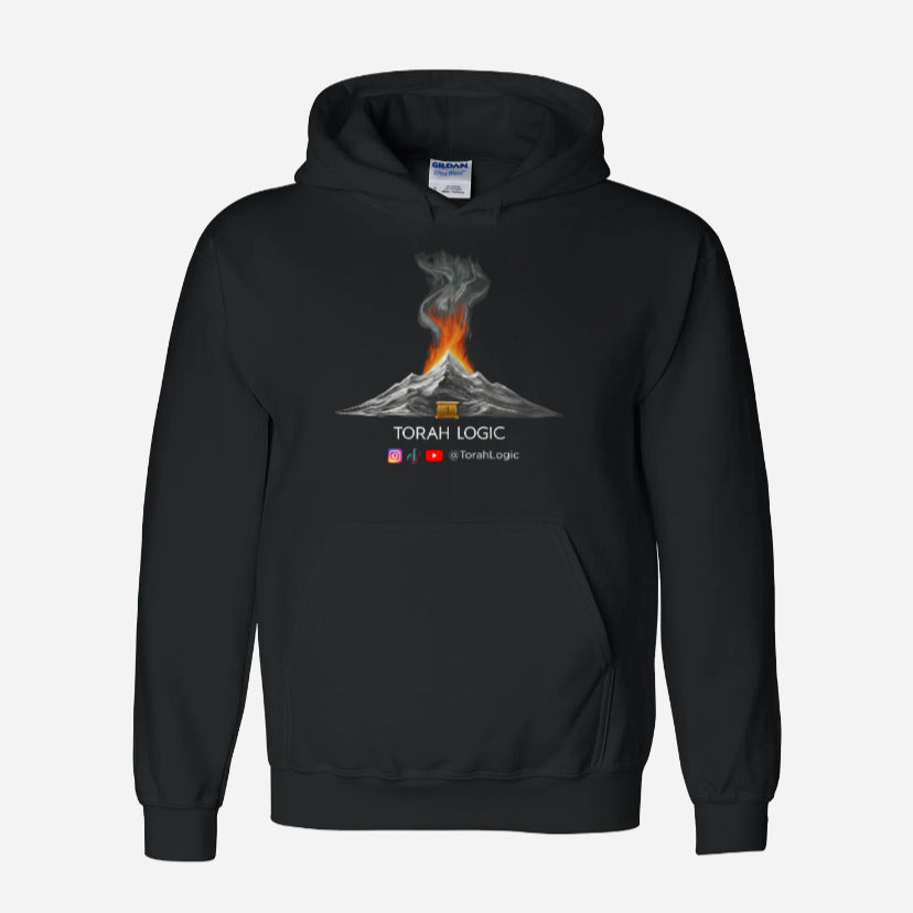 Torah Logic - Hoodie
