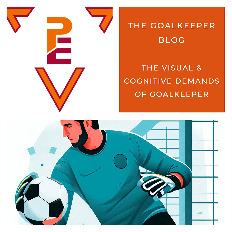 The Visual & Cognitive Demands of Goalkeeping