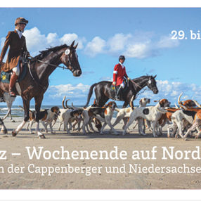 Hubertus im Sommer und am Wasser 