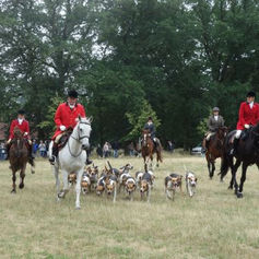 Gleich drei Mal Opening Meets