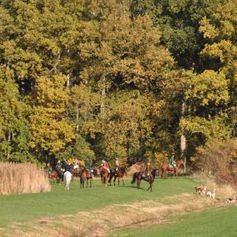 Psst, ganz leise: Eitze ist geheim