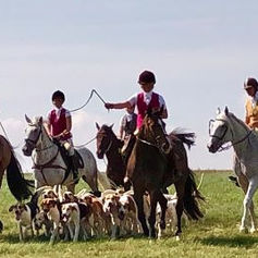 Halali für die Ostwestfalen-Meute