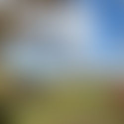 Herbst-Traum auf historischem Grund